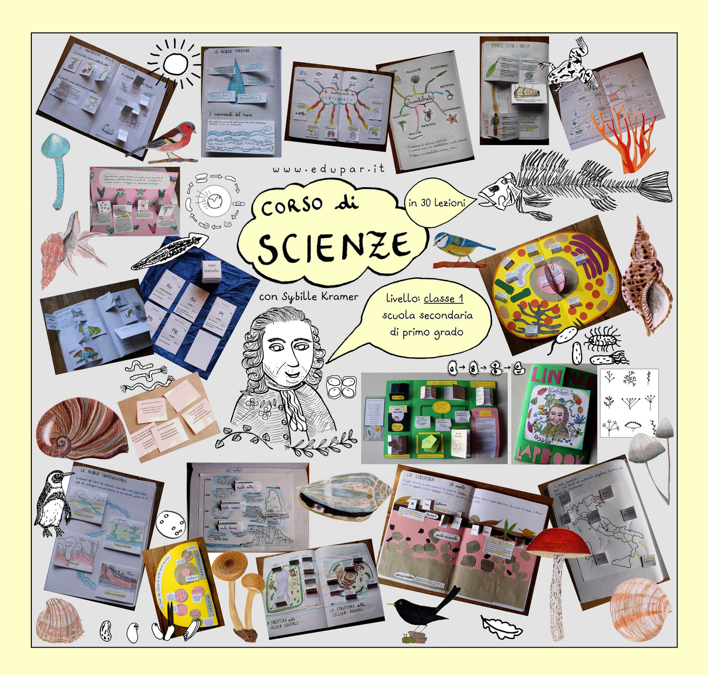 Corso di Scienze 1 Media. Un anno in un mese. Formato Pdf.