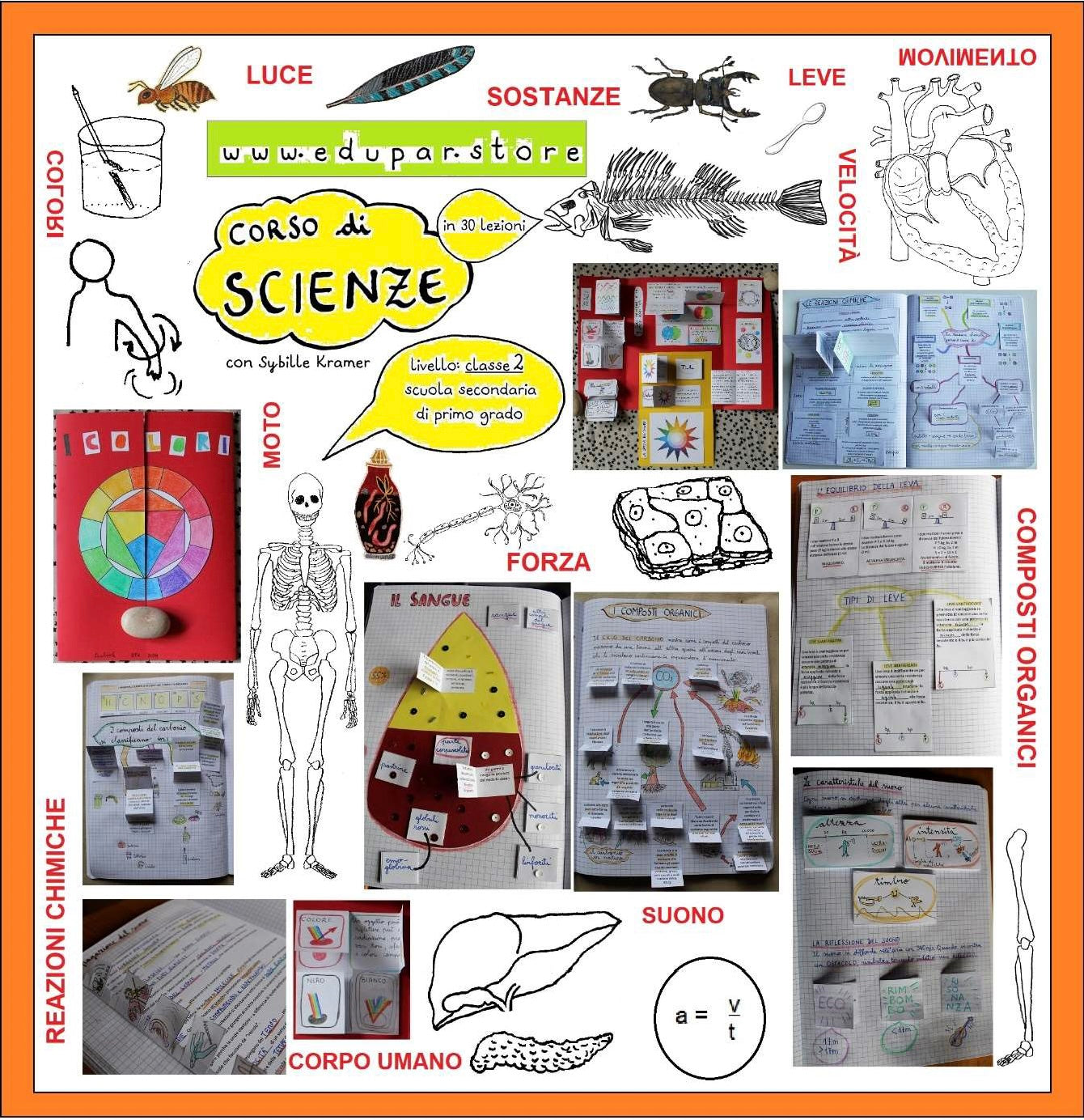 Corso di Scienze 2 Media. Un anno in un mese. Formato Pdf.