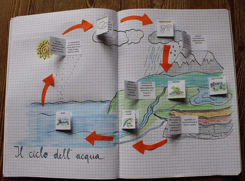 Corso di Scienze 1 Media. Un anno in un mese. Formato Pdf.