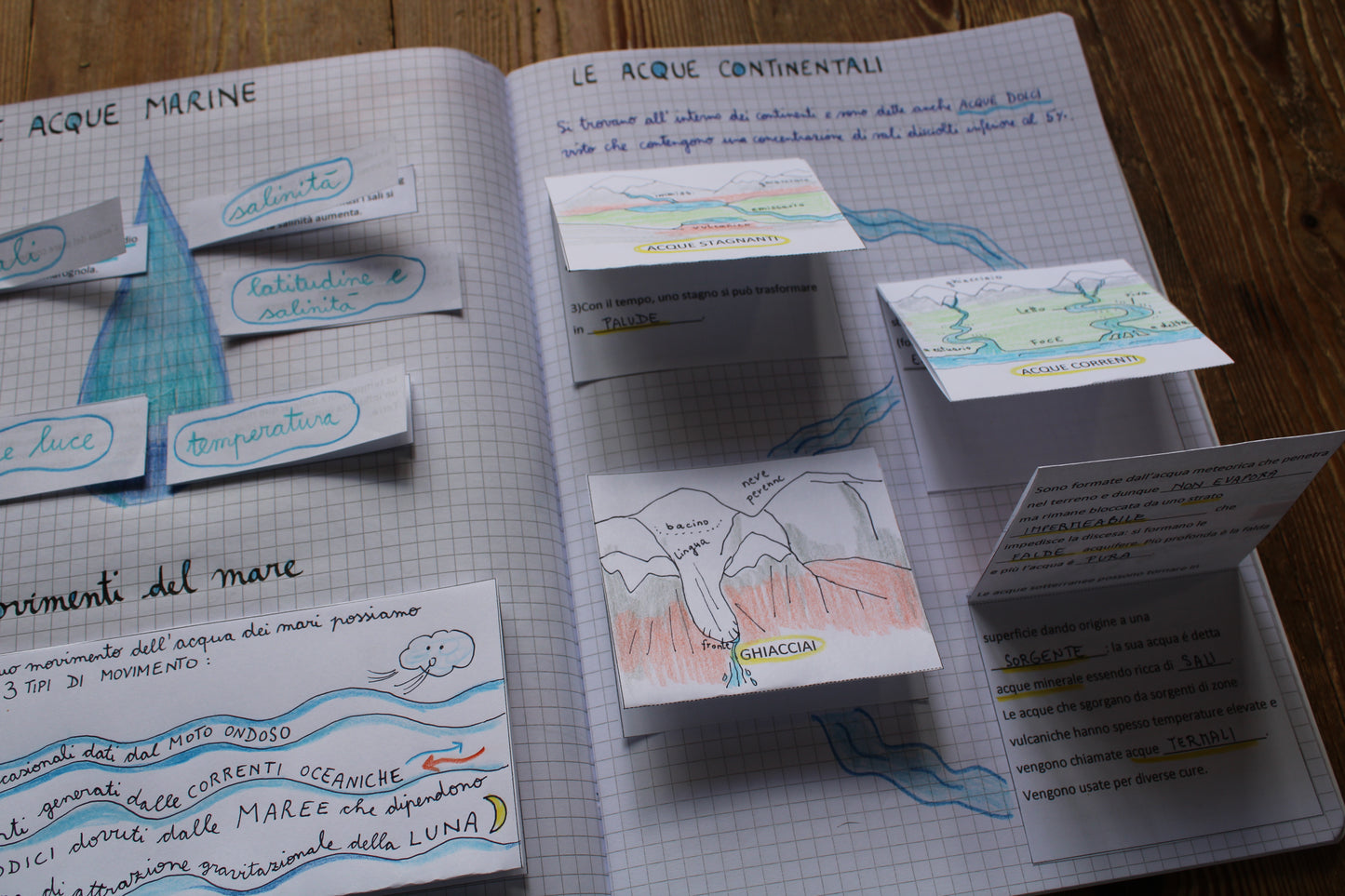 Corso di Scienze 1 Media. Un anno in un mese. Formato Pdf.