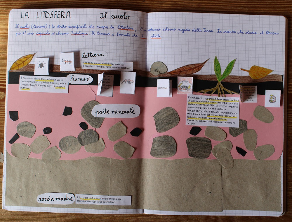 Corso di Scienze 1 Media. Un anno in un mese. Formato Pdf.