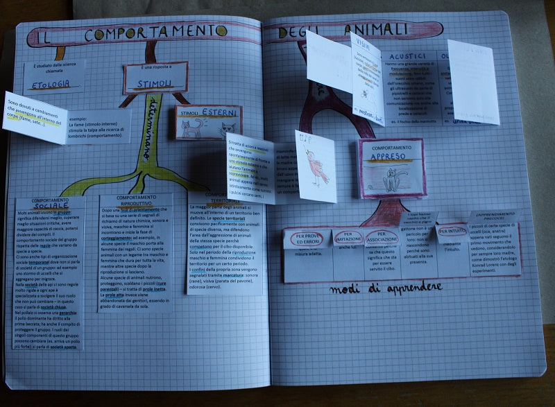 Corso di Scienze 2 Media. Un anno in un mese. Formato Pdf.