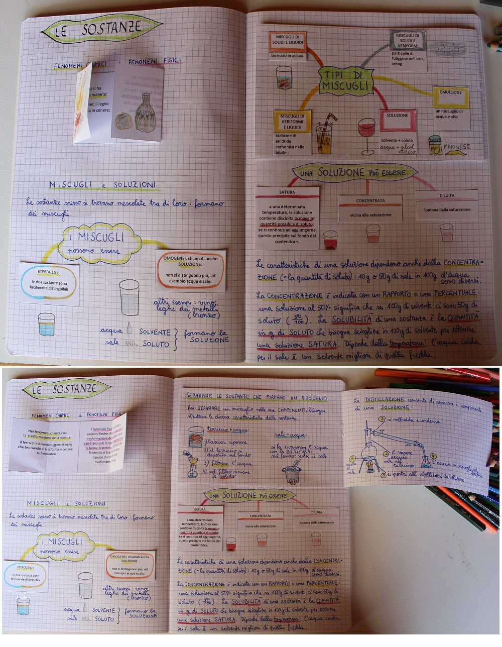 Corso di Scienze 2 Media. Un anno in un mese. Formato Pdf.