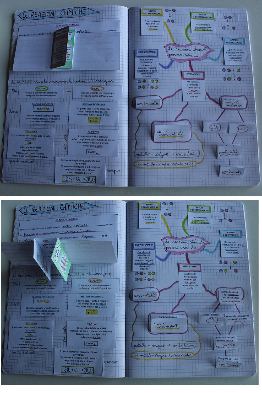 Corso di Scienze 2 Media. Un anno in un mese. Formato Pdf.