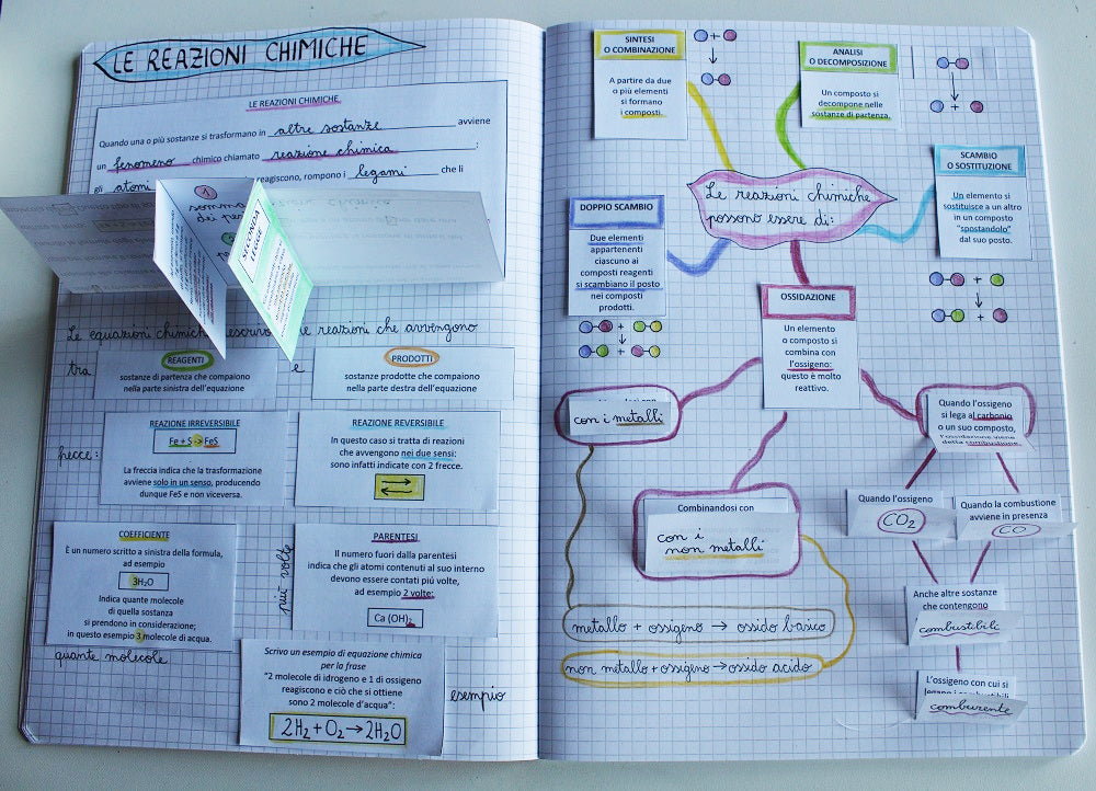 Corso di Scienze 2 Media. Un anno in un mese. Formato Pdf.
