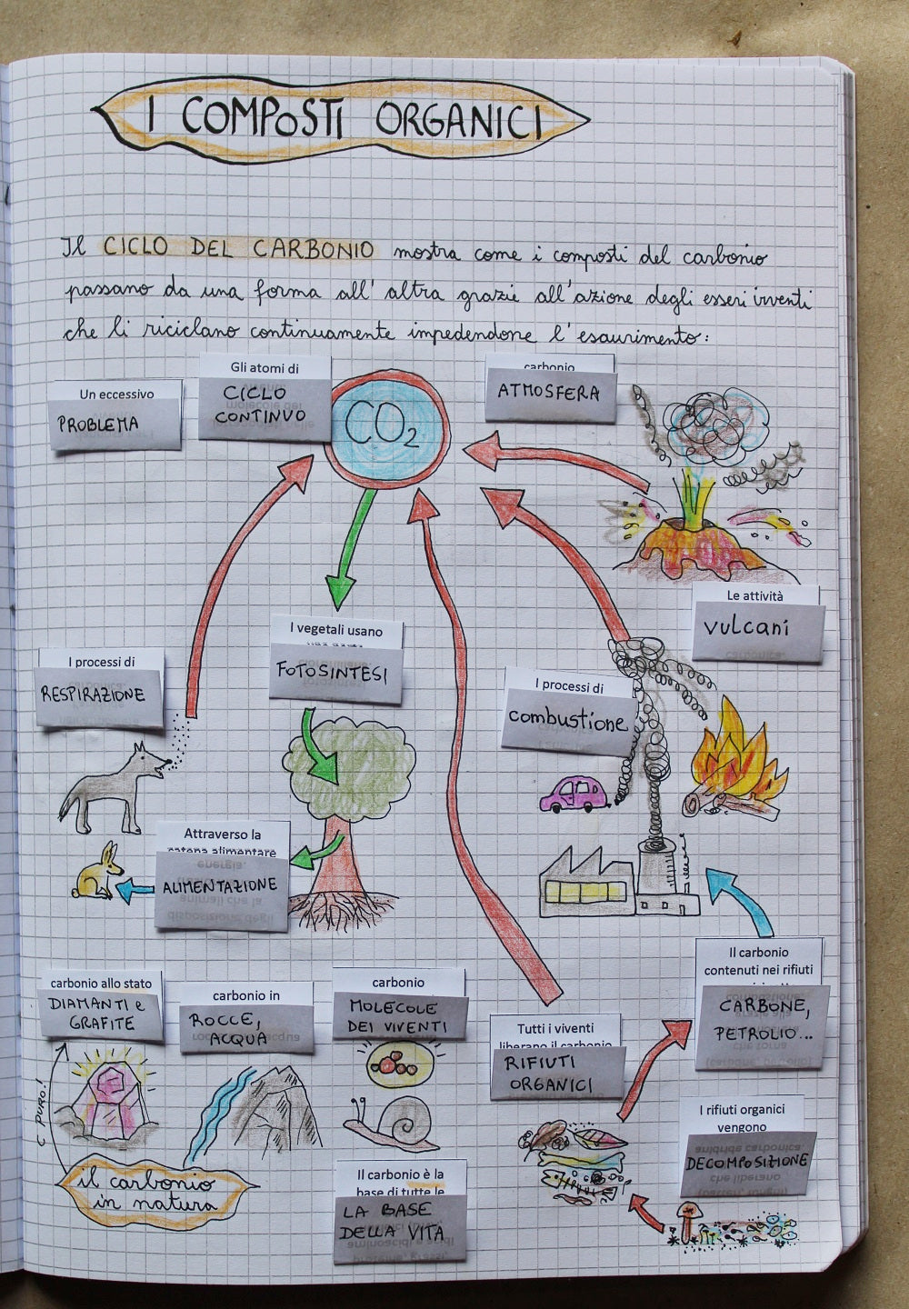 Corso di Scienze 2 Media. Un anno in un mese. Formato Pdf.