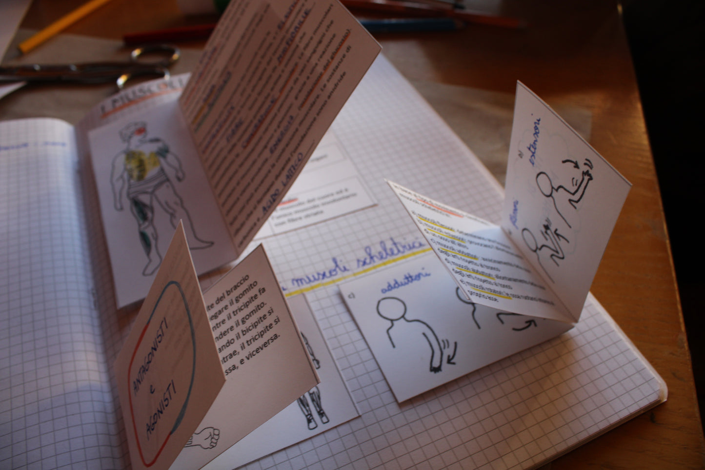 Corso di Scienze 2 Media. Un anno in un mese. Formato Pdf.