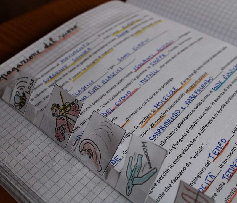 Corso di Scienze 2 Media. Un anno in un mese. Formato Pdf.
