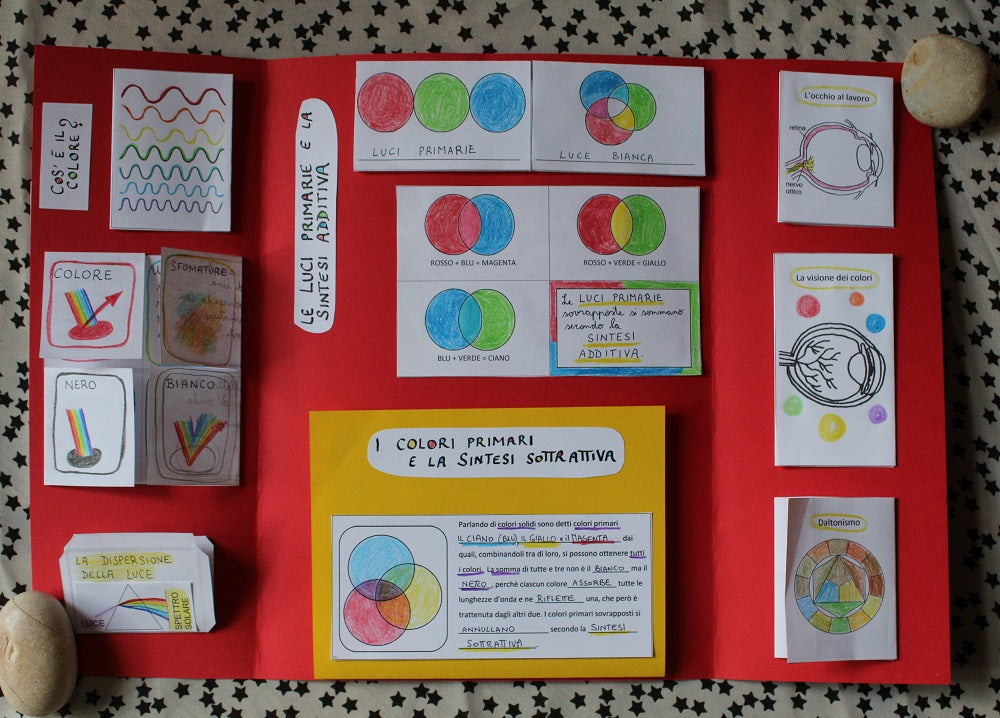 Corso di Scienze 2 Media. Un anno in un mese. Formato Pdf.
