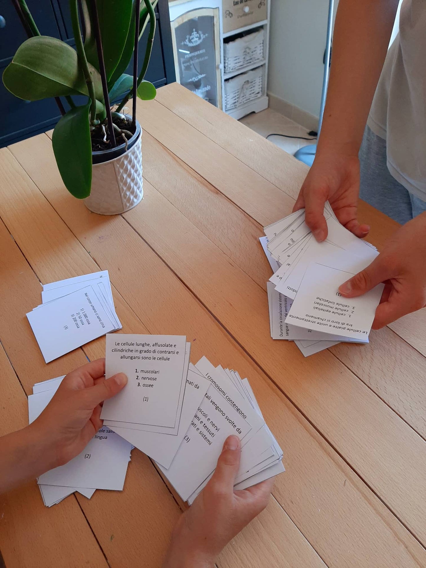 Corso di Scienze 5 Elementare. Un anno in un mese. Formato Pdf.