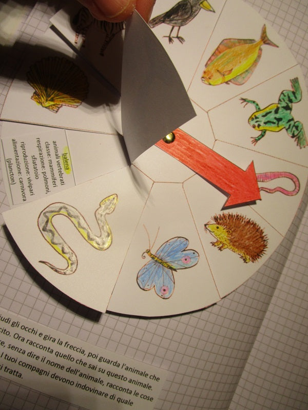 Corso di Scienze 3 Elementare. Un anno in un mese. Formato Pdf.