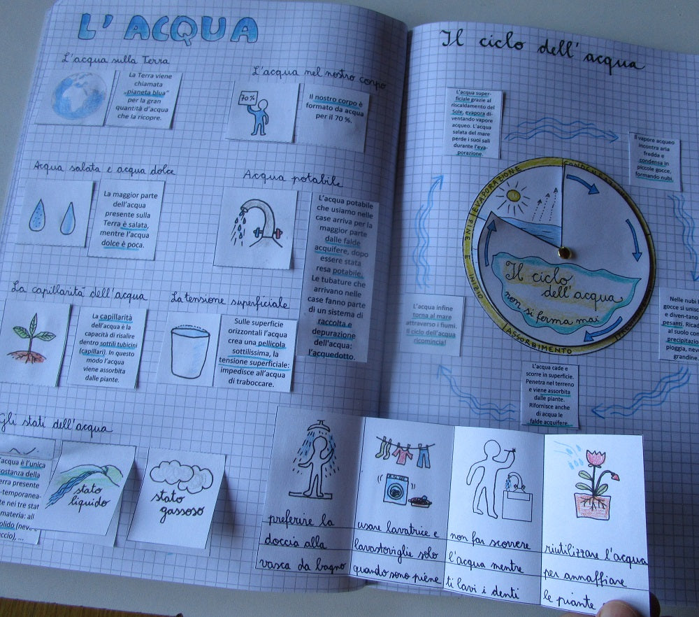 Corso di Scienze 4 Elementare. Un anno in un mese. Formato Pdf.