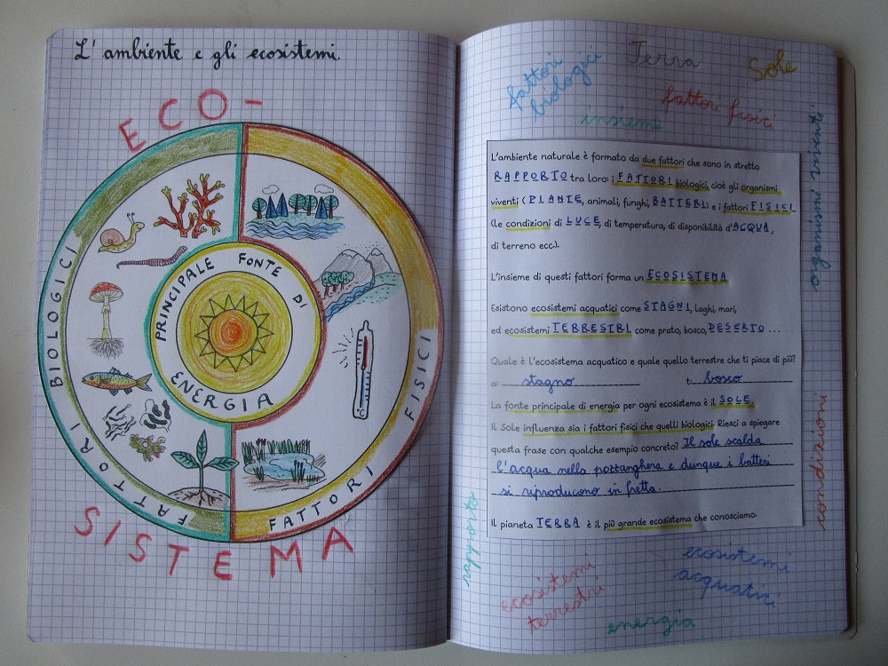 Corso di Scienze 4 Elementare. Un anno in un mese. Formato Pdf.