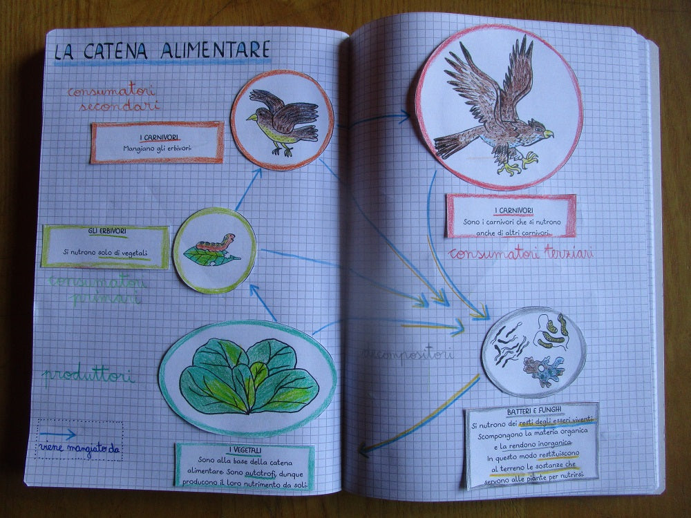 Corso di Scienze 4 Elementare. Un anno in un mese. Formato Pdf.