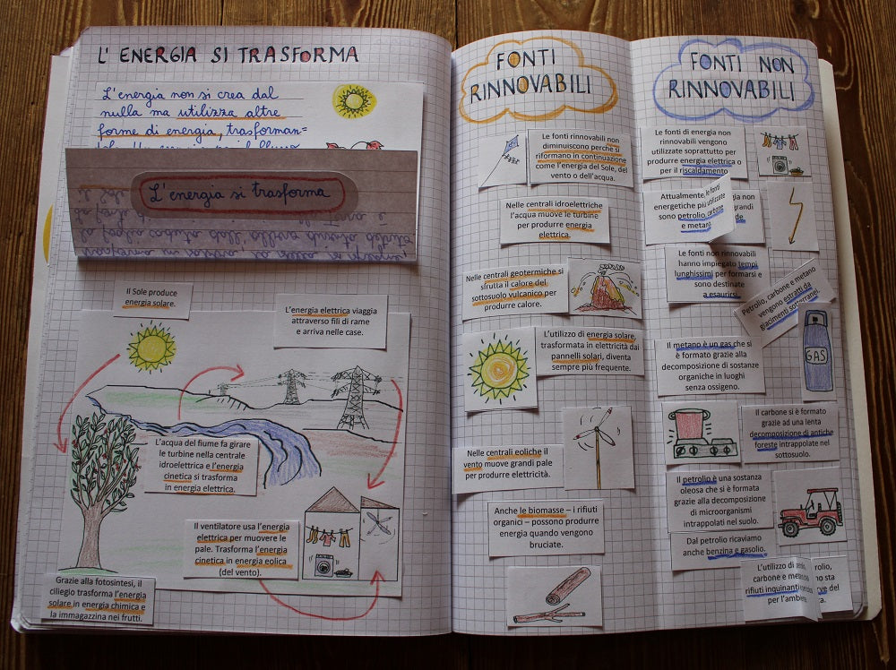 Corso di Scienze 5 Elementare. Un anno in un mese. Formato Pdf.