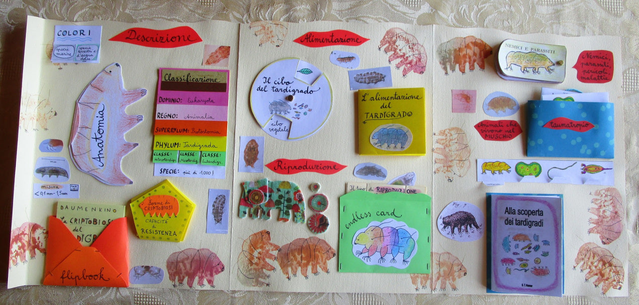 Lapbook "Il Tardigrado" (Water Bear Lapbook). Formato pdf, età 6-14 anni.