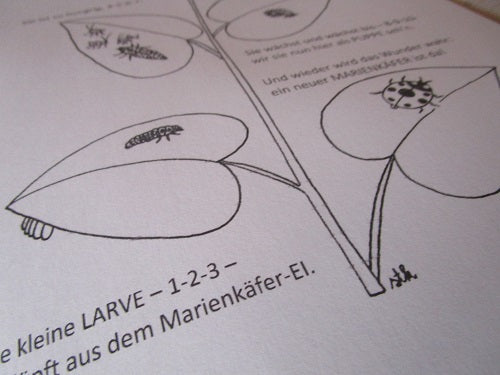 FUNLAB “Le Coccinelle” giochi e materiali didattici multilingua. Formato pdf, età 5-9.