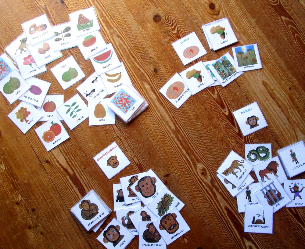 FUnLab “Arcimboldo”. Raccolta di giochi e materiali didattici in pdf. Età 4-10 anni.