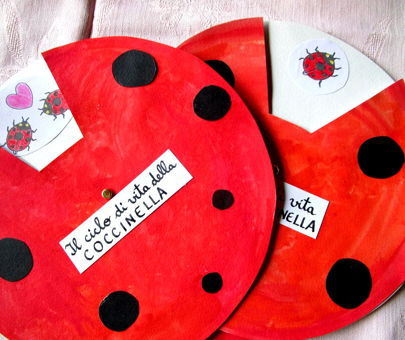 FUNLAB “Le Coccinelle” giochi e materiali didattici multilingua. Formato pdf, età 5-9.