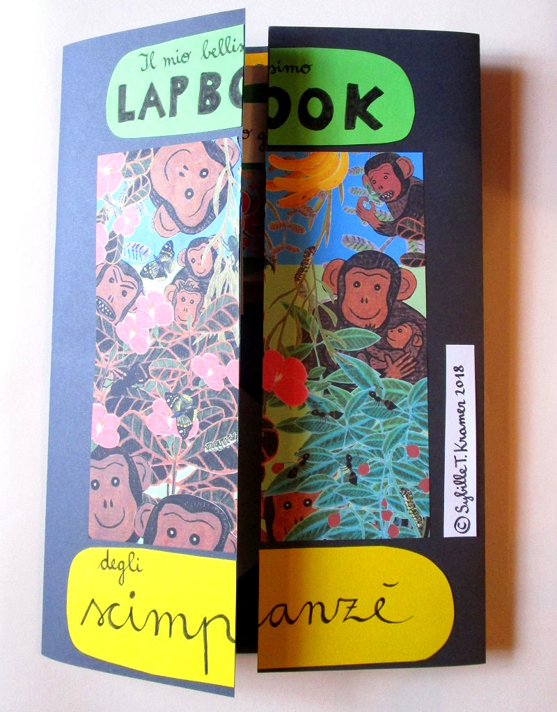 FUnLab “Arcimboldo”. Raccolta di giochi e materiali didattici in pdf. Età 4-10 anni.