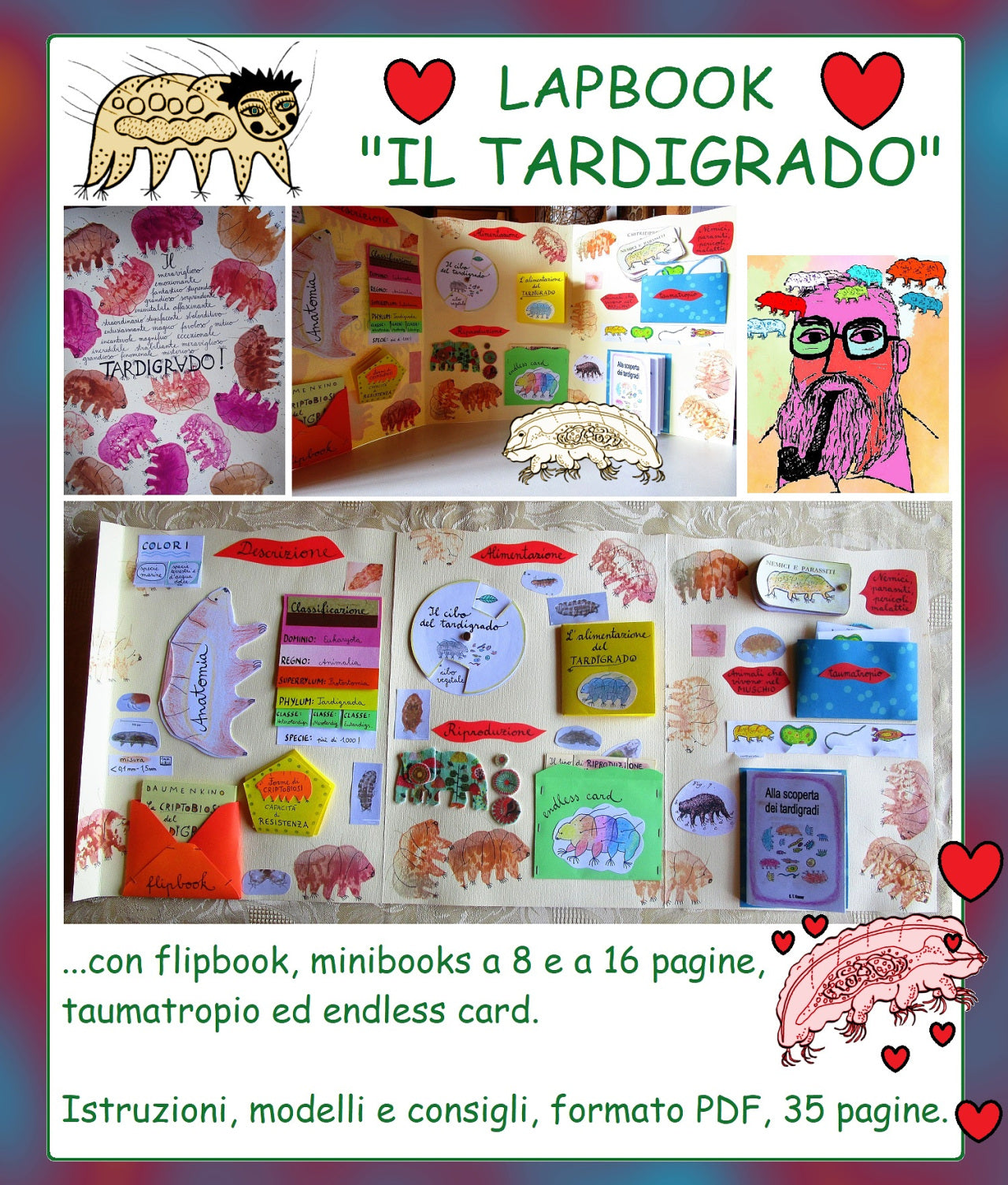 Lapbook "Il Tardigrado" (Water Bear Lapbook). Formato pdf, età 6-14 anni.