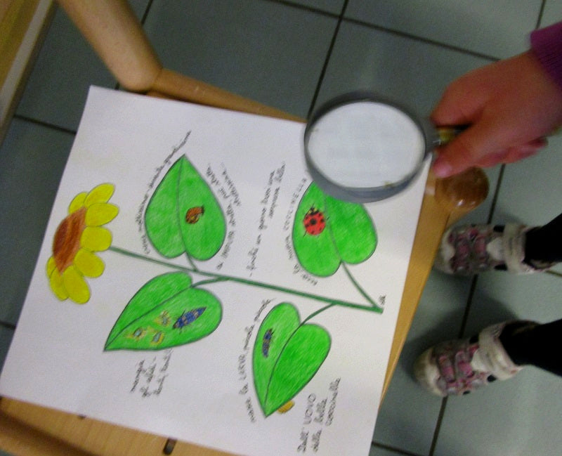 FUNLAB “Le Coccinelle” giochi e materiali didattici multilingua. Formato pdf, età 5-9.