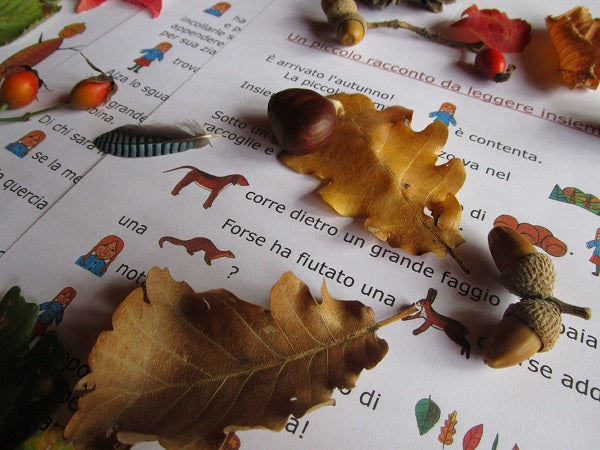 Raccolta Giochi Didattici "Autunno" multilingua. Formato pdf, età 4-10