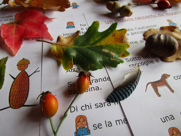 Raccolta Giochi Didattici "Autunno" multilingua. Formato pdf, età 4-10