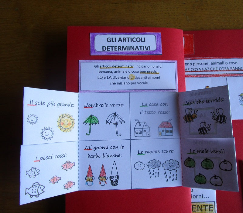 Lapbook sulla Grammatica e Ortografia per la classe 2 elementare. Età 6-8 anni. Formato PDF.