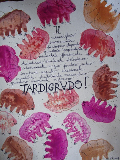 Lapbook "Il Tardigrado" (Water Bear Lapbook). Formato pdf, età 6-14 anni.